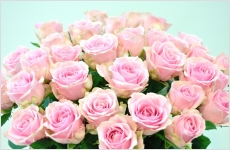 ピンクのバラの花束 10本3,000円から